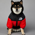 Jaqueta Térmica para Cachorros - Proteção e Conforto no Frio Jaqueta Térmica The Dog Fans Madrupet Vermelho P 