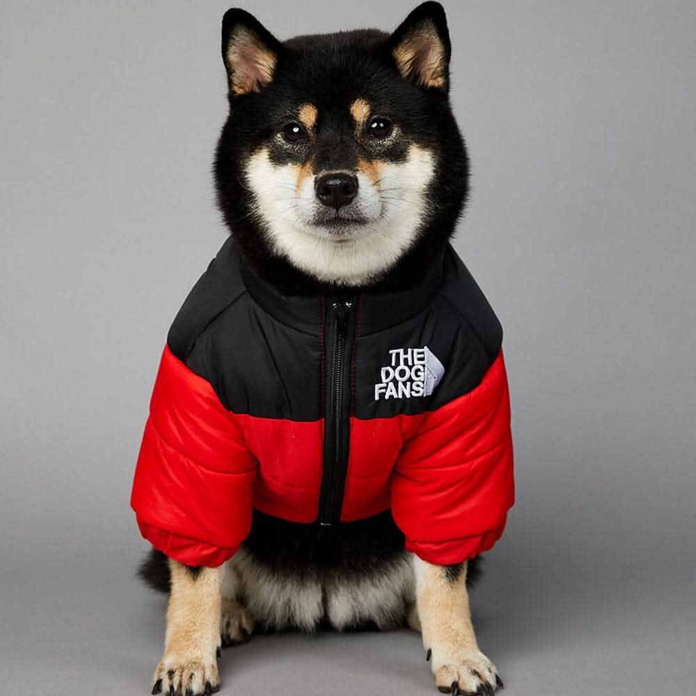 Jaqueta Térmica para Cachorros - Proteção e Conforto no Frio Jaqueta Térmica The Dog Fans Madrupet Vermelho P 