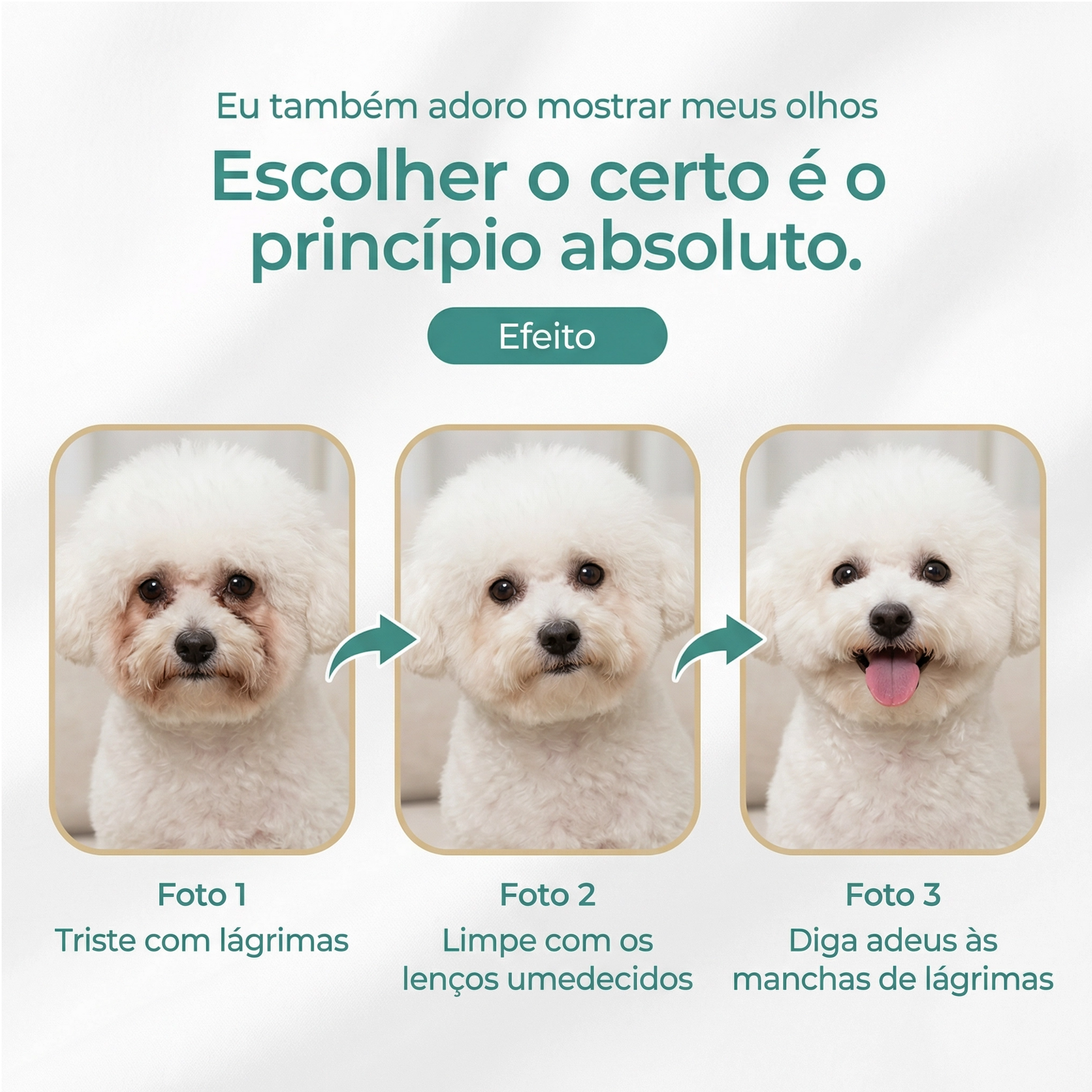 Detalhe dos lenços umedecidos específicos para higiene dos olhos de pets, ideais para cães e gatos