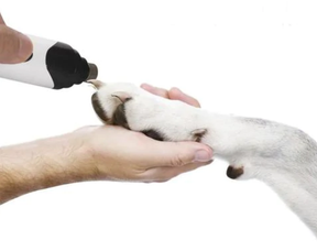 Lixador de Unhas Elétrico para Pets – Seguro, Silencioso e Sem Estresse