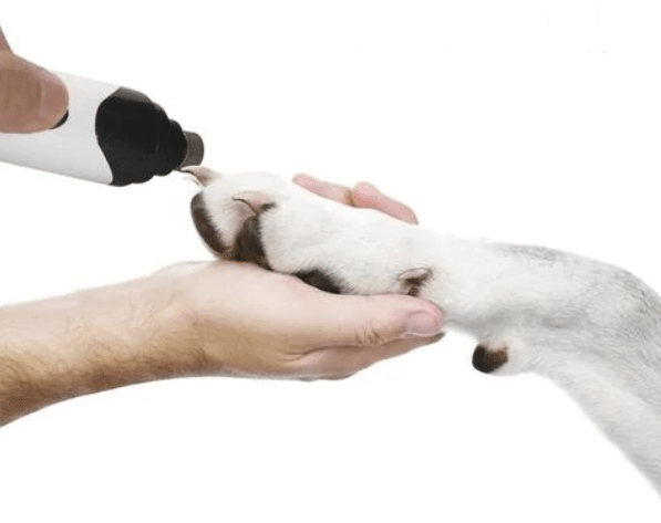 Lixador de Unhas Elétrico para Pets – Seguro, Silencioso e Sem Estresse Lixador de Unhas Pet Para Cachorro e Gato Sabinovision 