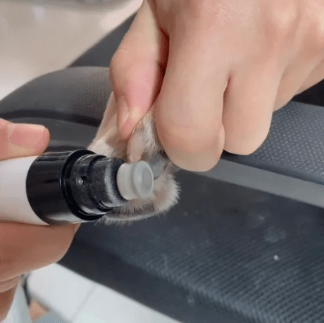 Lixador de Unhas Elétrico para Pets – Seguro, Silencioso e Sem Estresse Lixador de Unhas Pet Para Cachorro e Gato Sabinovision 