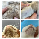 Luva a Seco para Pets – Limpeza Rápida e Sem Água Madrupet 