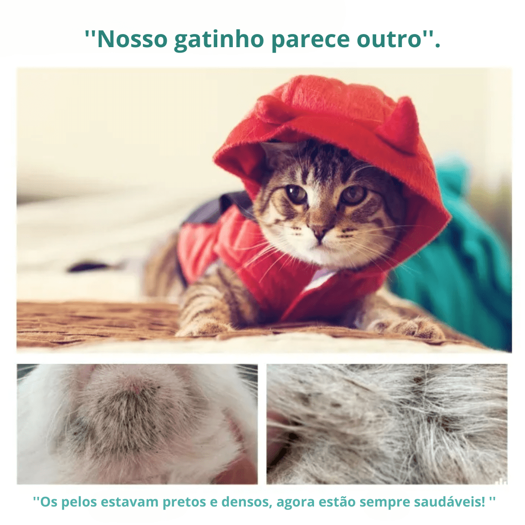 Luva a Seco para Pets – Limpeza Rápida e Sem Água Madrupet 