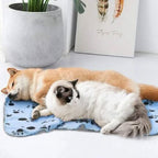Manta Pet Super Macia – Aconchego Quentinho p/ Cães e Gatos Madrupet 