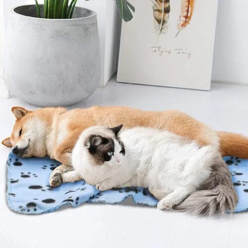 Manta Pet Super Macia – Aconchego Quentinho p/ Cães e Gatos Madrupet 