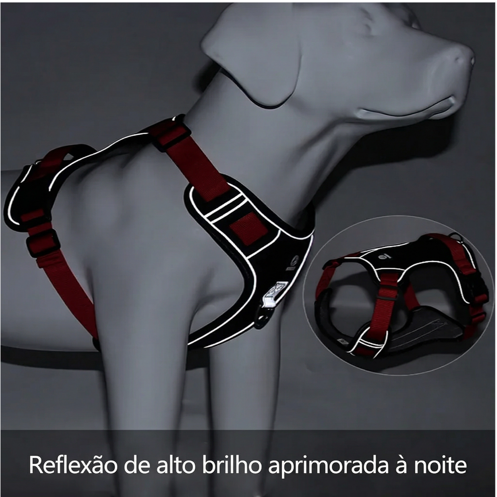 Cachorro usando coleira peitoral anti puxão ajustável refletiva durante passeio ao ar livre