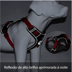 Cachorro usando coleira peitoral anti puxão ajustável refletiva durante passeio ao ar livre