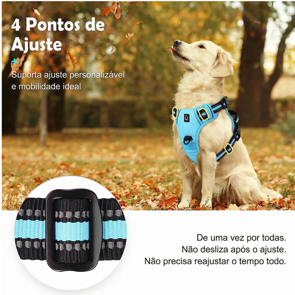 Cachorro ativo com peitoral anti puxão e faixa refletiva em caminhada ao ar livre