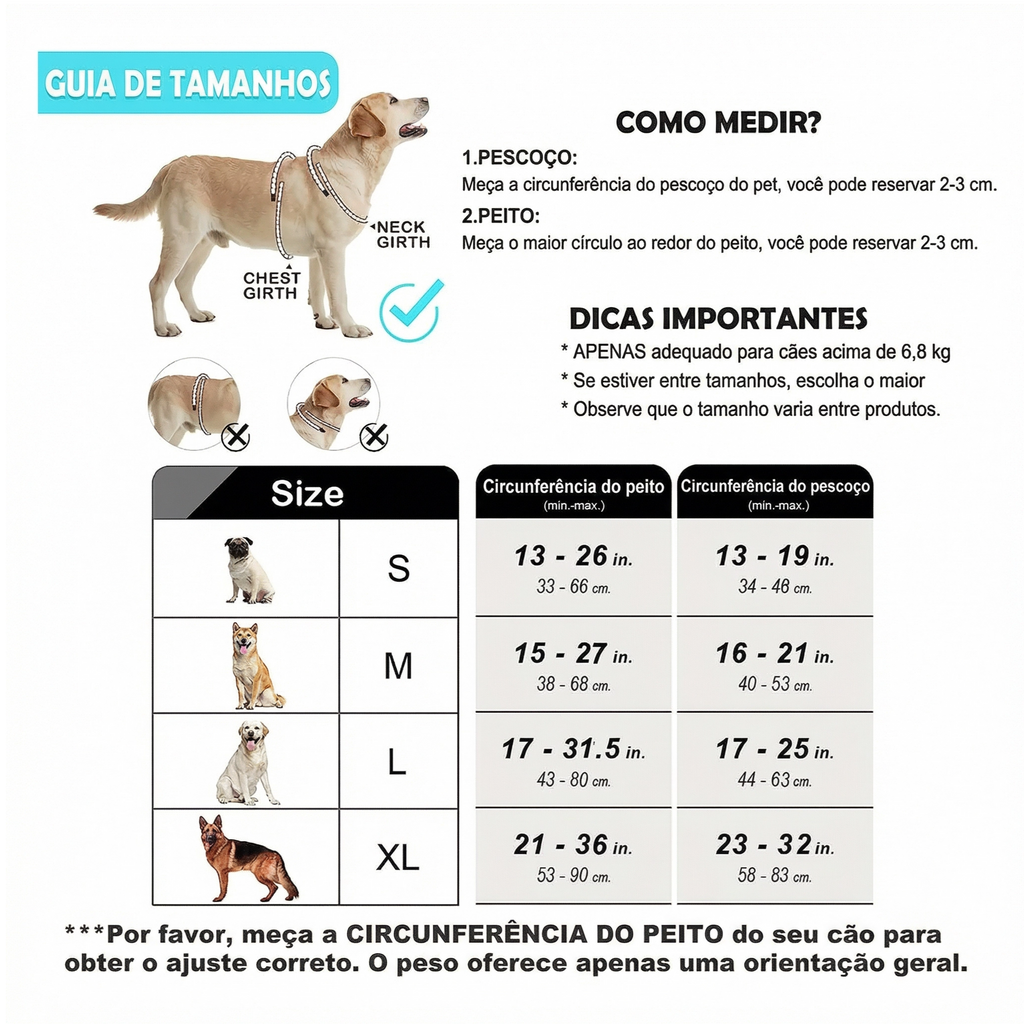 Cachorro usando peitoral anti puxão com dupla argola e faixa refletiva durante passeio