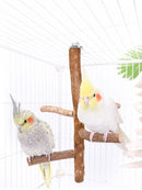 Poleiro Natural Premium para Pássaros - Conforto e Bem-Estar Poleiro para Calopsita de Madeira Sabinovision 