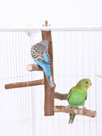 Poleiro Natural Premium para Pássaros - Conforto e Bem-Estar Poleiro para Calopsita de Madeira Sabinovision 