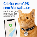 Rastreador GPS para Pets – Localização em Tempo Real e Sem Mensalidade Madrupet 