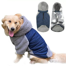Roupa de Frio Super Confortável para Cães – Estilo e Proteção nos Dias Gelados