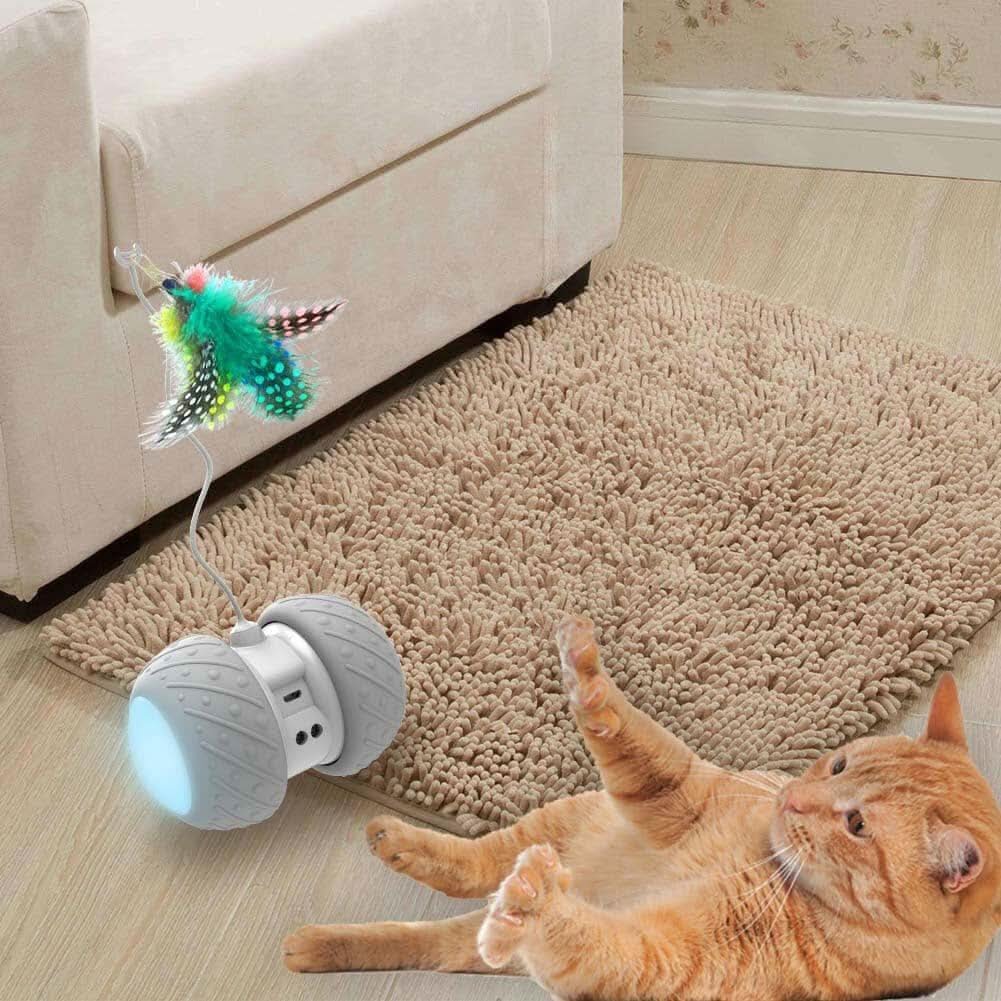 Gato brincando com brinquedo eletrônico giratório interativo que promove diversão e atividade física