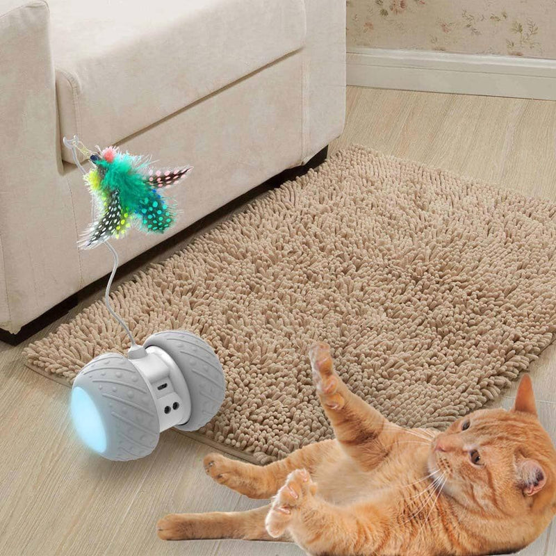 SmartCat – Brinquedo Eletrônico Inteligente para Gatos Brinquedo Eletrônico Inteligente para Gatos Sabinovision 