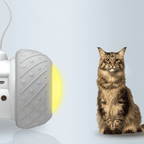 Detalhe do mecanismo giratório do brinquedo eletrônico para gatos que estimula o instinto felino