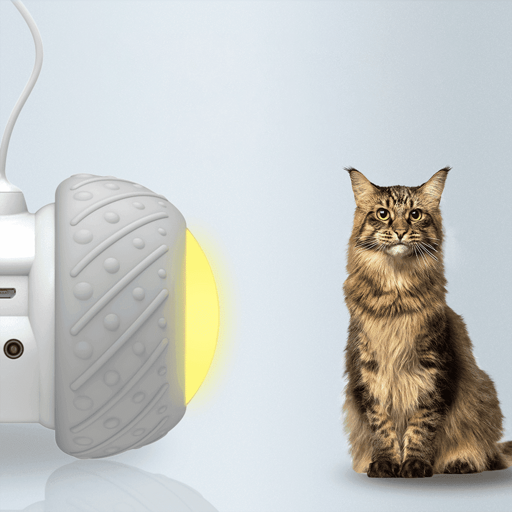 Detalhe do mecanismo giratório do brinquedo eletrônico para gatos que estimula o instinto felino