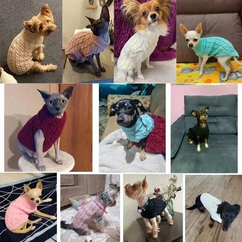 Suéter para Cães e Gatos – Quentinho e Confortável para Inverno Suéter de Gola Alta para Cães e Gatos Madrupet 