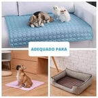Tapete Gelado Para Pets Tapete gelado para pets Madrupet 