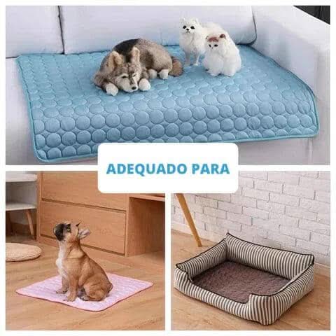 Tapete Gelado Para Pets Tapete gelado para pets Madrupet 
