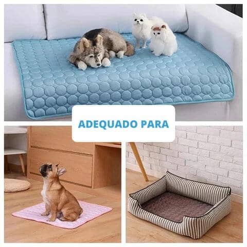 Tapete Gelado Para Pets Tapete gelado para pets Madrupet 