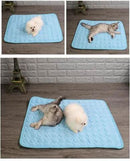 Tapete Gelado Para Pets Tapete gelado para pets Madrupet 