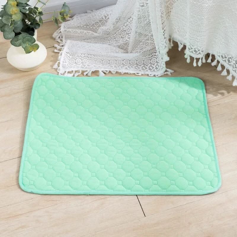 Tapete Higiênico Lavável para Cães Madrupet Verde claro 50x35cm 