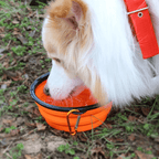 Tigela Pet Retrátil 2 em 1 - Leve Água e Ração Aonde For Comedouro Com Bebedouro Retrátil Para Pets Madrupet 