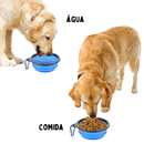Tigela Pet Retrátil 2 em 1 - Leve Água e Ração Aonde For Comedouro Com Bebedouro Retrátil Para Pets Madrupet 